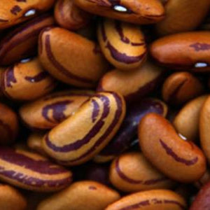 Beans - Tiger's Eye (Dry Shell)