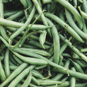 Beans - Top Crop (bush type, snap)