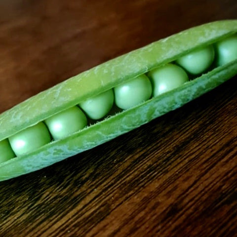 Peas - Wando (Sugar Snap Peas)